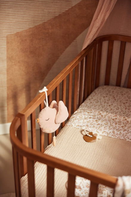 Jollein Muziekhanger Lovely Birds