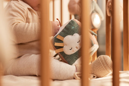 Jollein Activiteitenkubus Lovely Birds