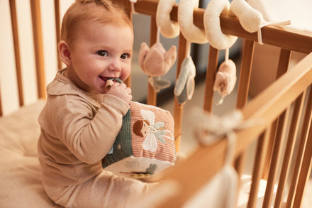 Jollein Activiteitenkubus Lovely Birds
