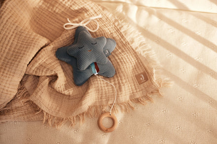 Jollein Muziekhanger Star Sea Green