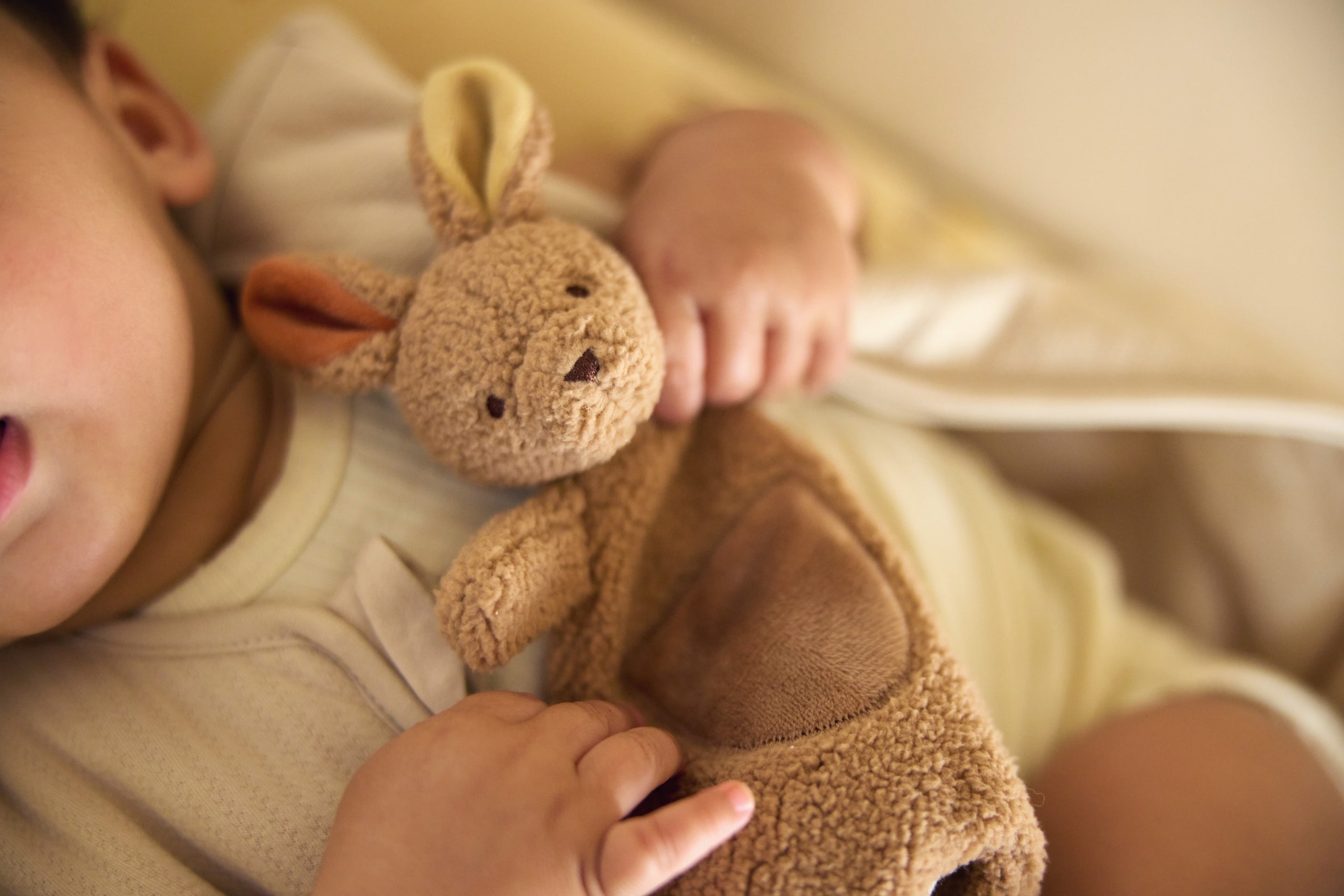 Jollein Speendoekje Kangaroots