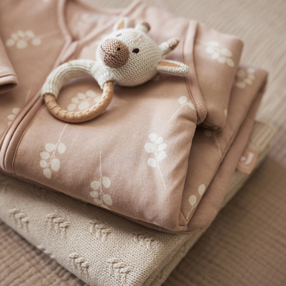 Jollein Bijtring | Giraf