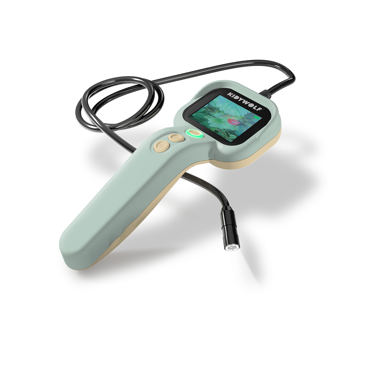 Kidywolf Kidyexplore