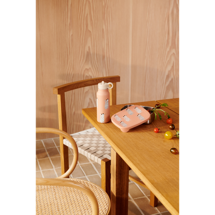 Liewood Arthur Lunchbox | Dinosaurs / Mist