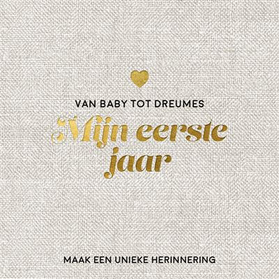 Van Baby Tot Dreumes Invulboek | Mijn Eerste Jaar