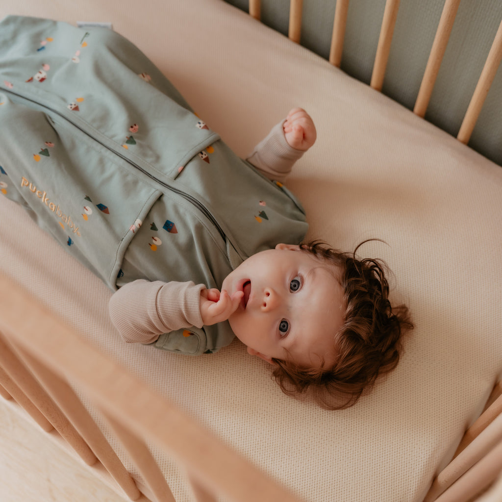 Puckababy Inbakerslaapzak Mini 3/6 M - Cotton | Tiny village