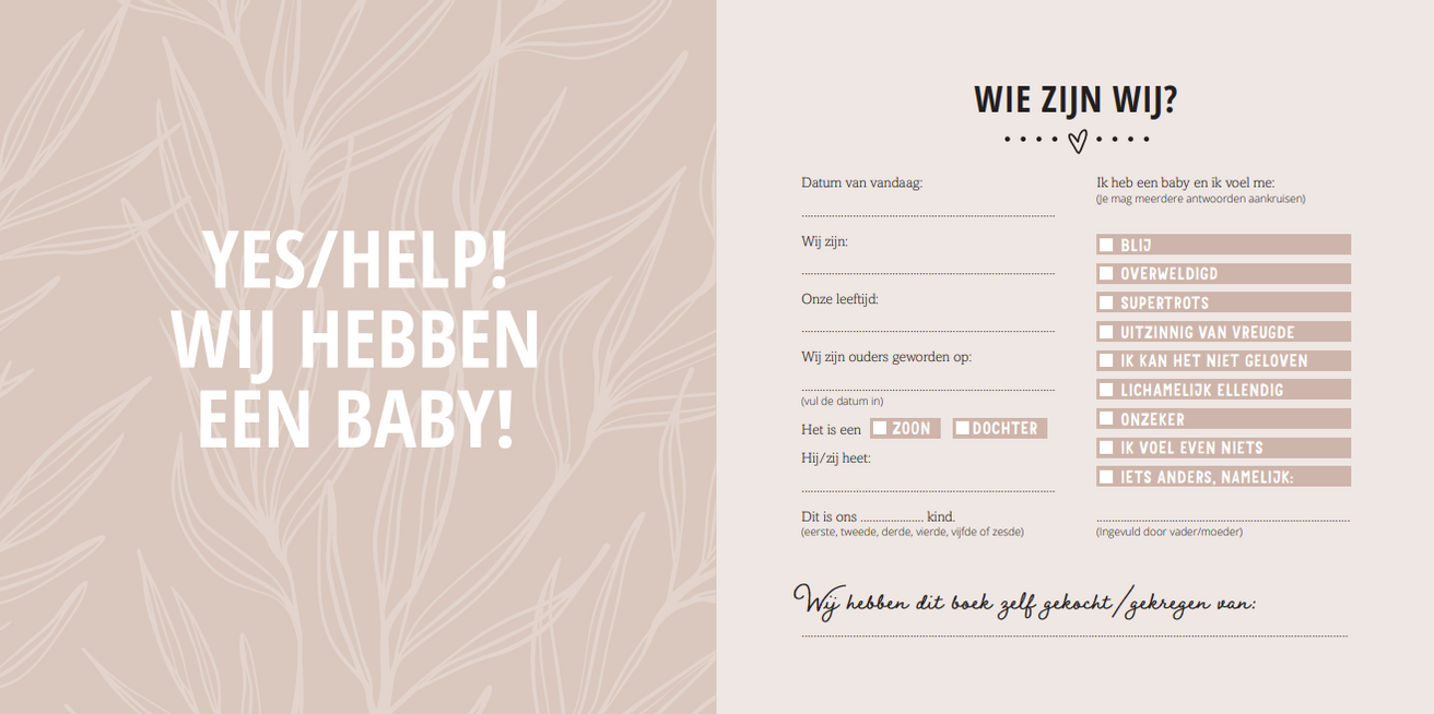 Van Baby Tot Dreumes Invulboek | Mijn Eerste Jaar