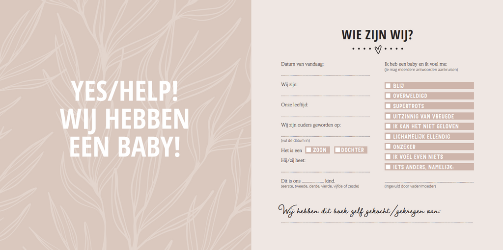 Van Baby Tot Dreumes Invulboek | Mijn Eerste Jaar