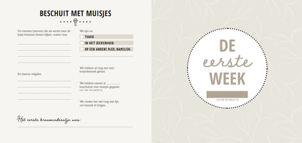 Van Baby Tot Dreumes Invulboek | Mijn Eerste Jaar