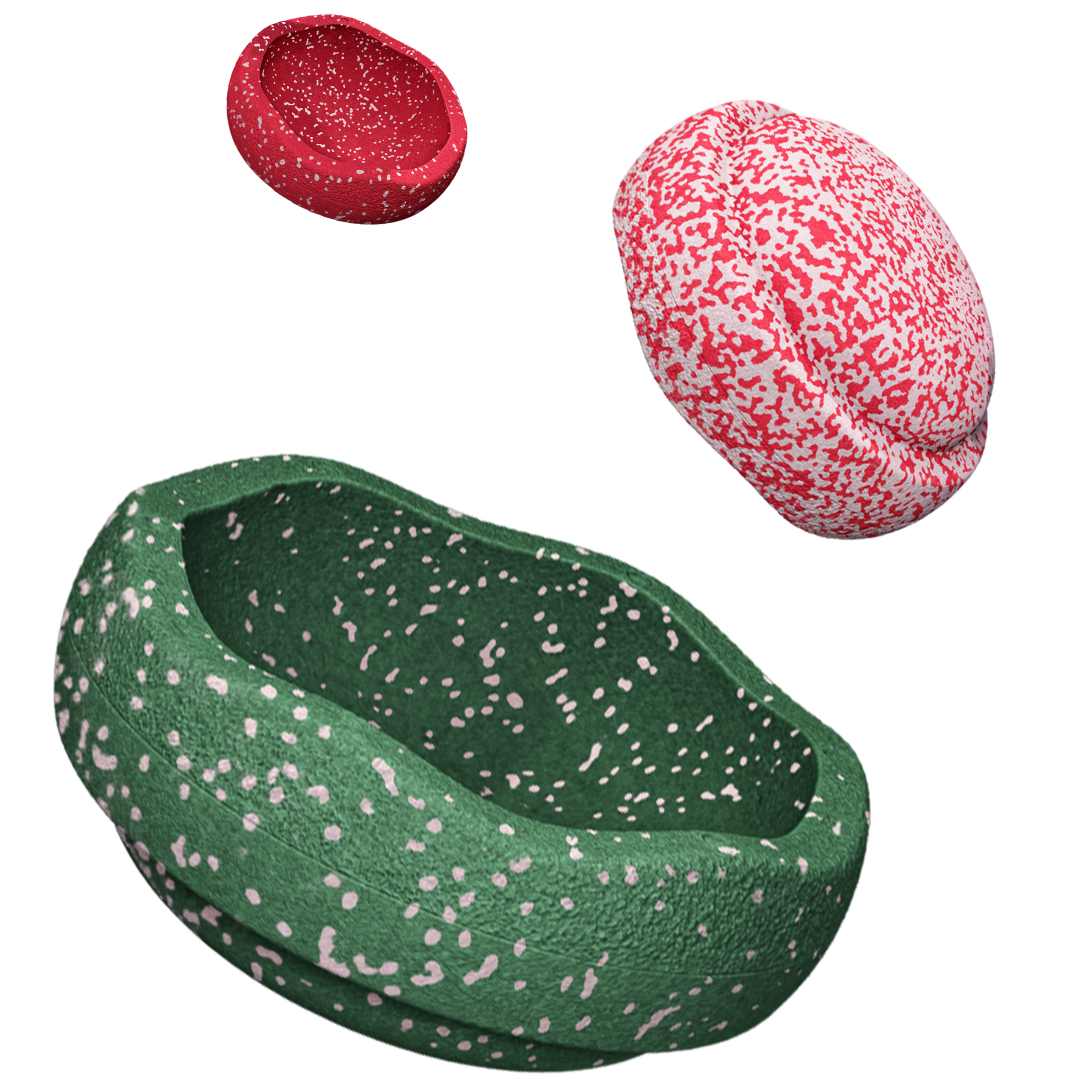 * Stapelstein Special Trilogy Set (Grow (XL), Normal en Mini steen) | Blush