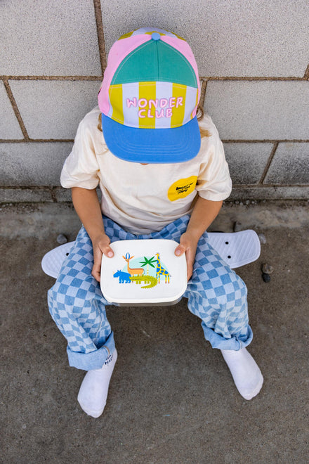 The Cotton Cloud RVS Lunchbox | Woof Gang