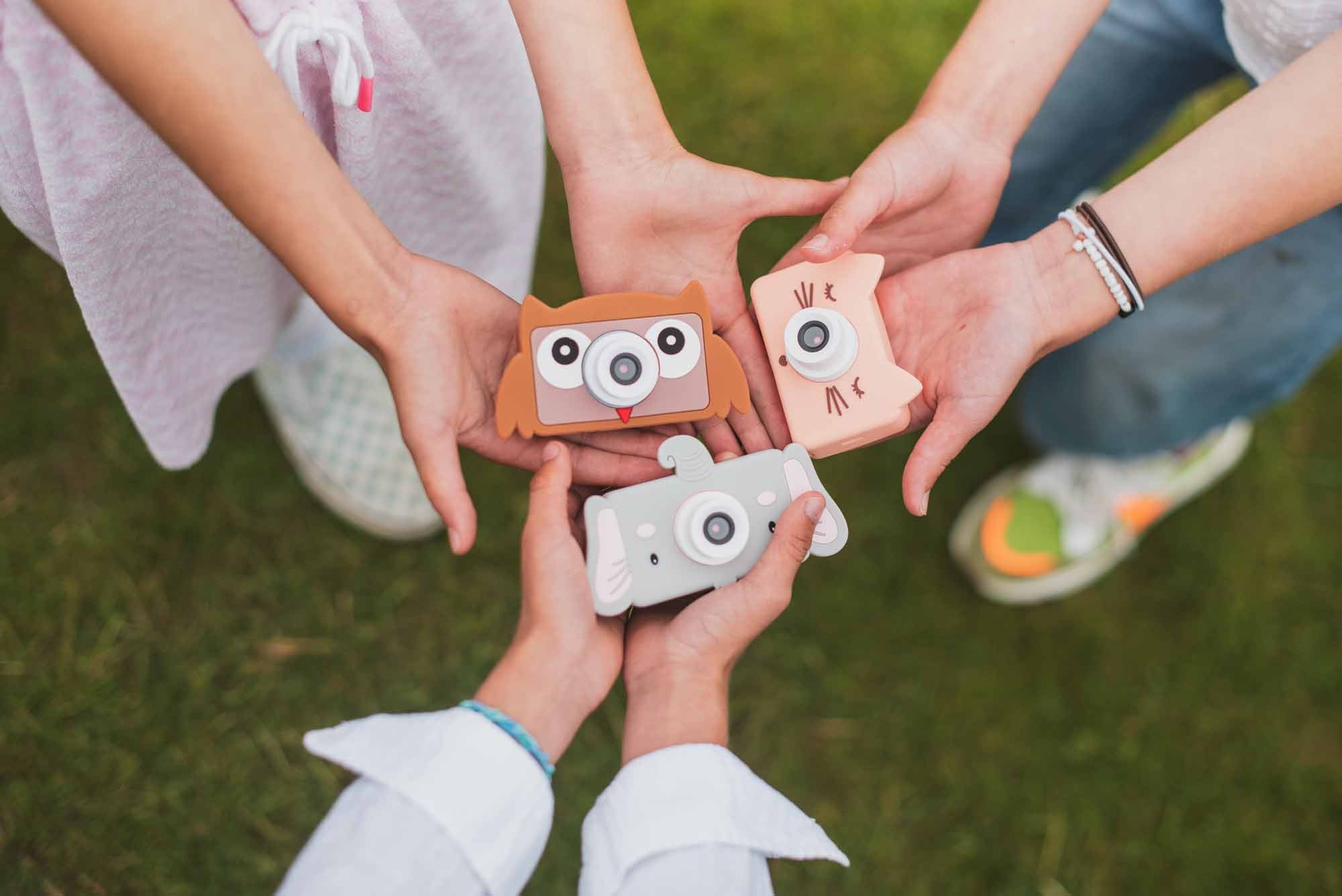 The Zoofamily Zoo friends | elephant