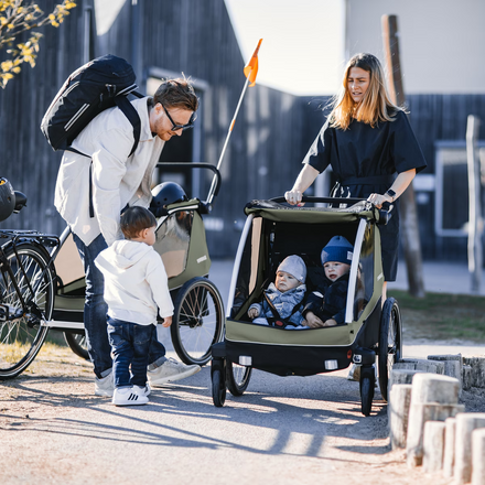 Thule Courier Dubbelzit Fietskar | Vintage Groen