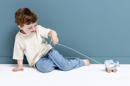 Trixie Houten Trekdiertje | Mr. Shark