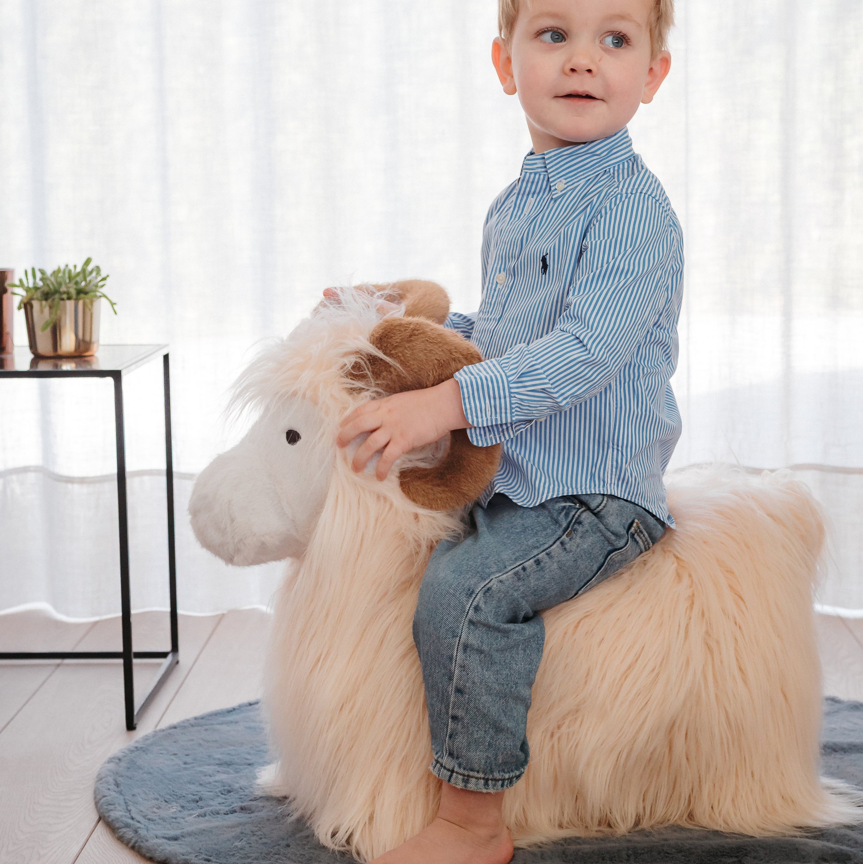 Wild & Soft Bouncy | Ram