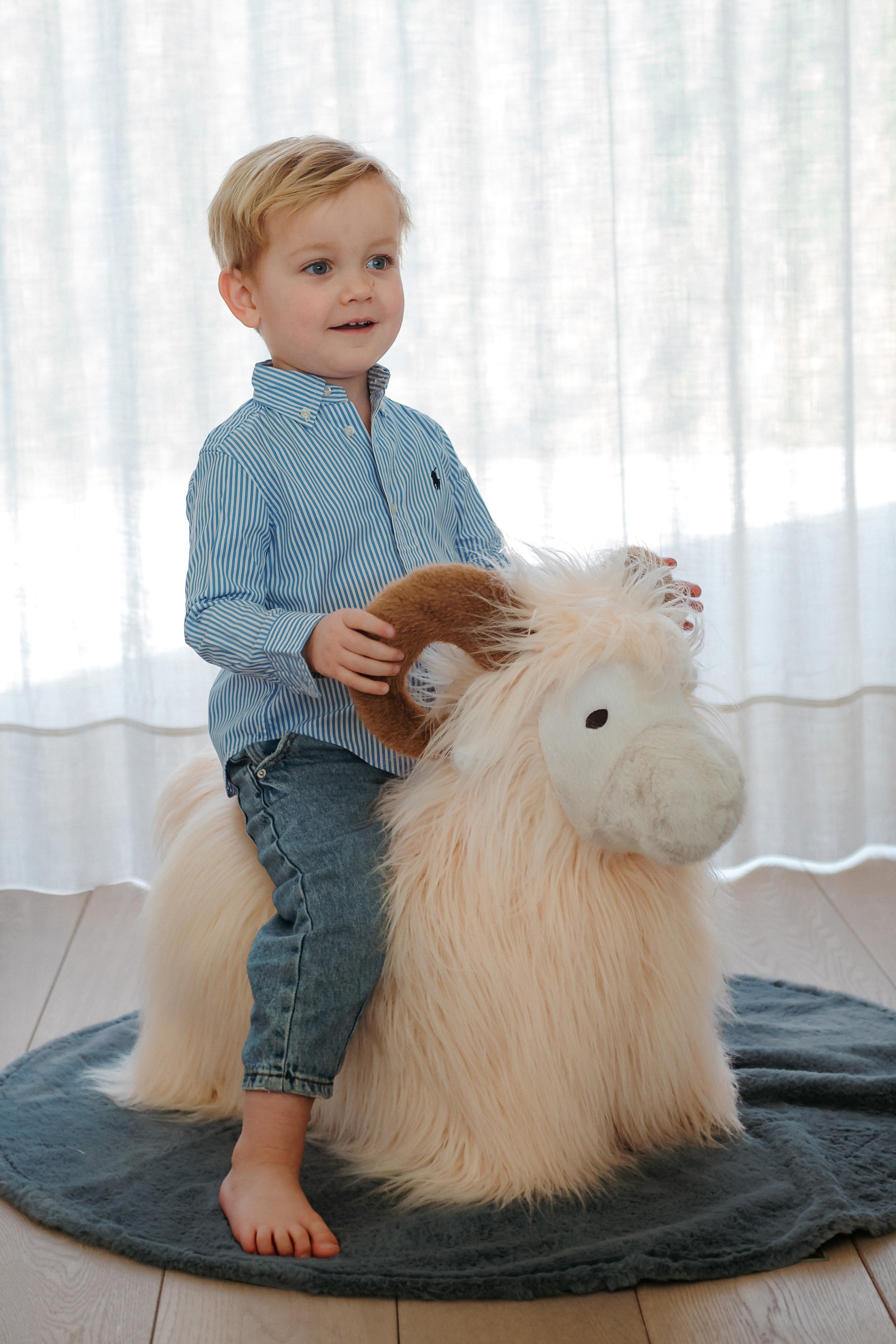 Wild & Soft Bouncy | Ram