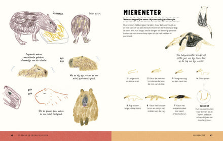 Boycott Zo Teken Je (bijna) Elk Dier