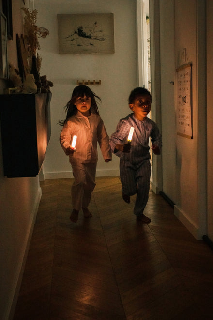 The Zoofamily Zoo Light Zaklamp | Unicorn