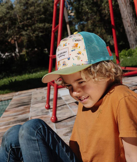 Hello Hossy Pet | Miami Beach