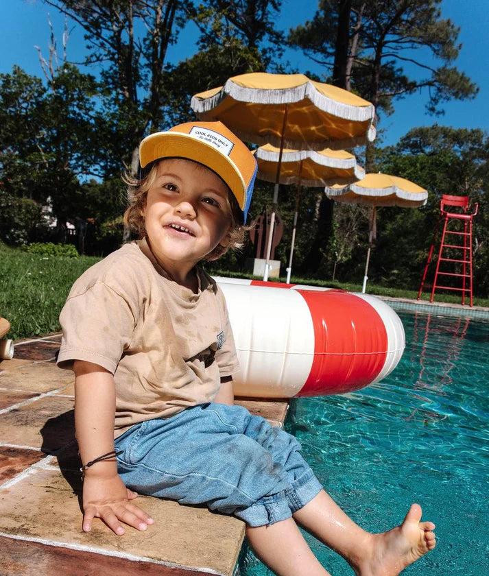 Hello Hossy Pet | Mini Canyon