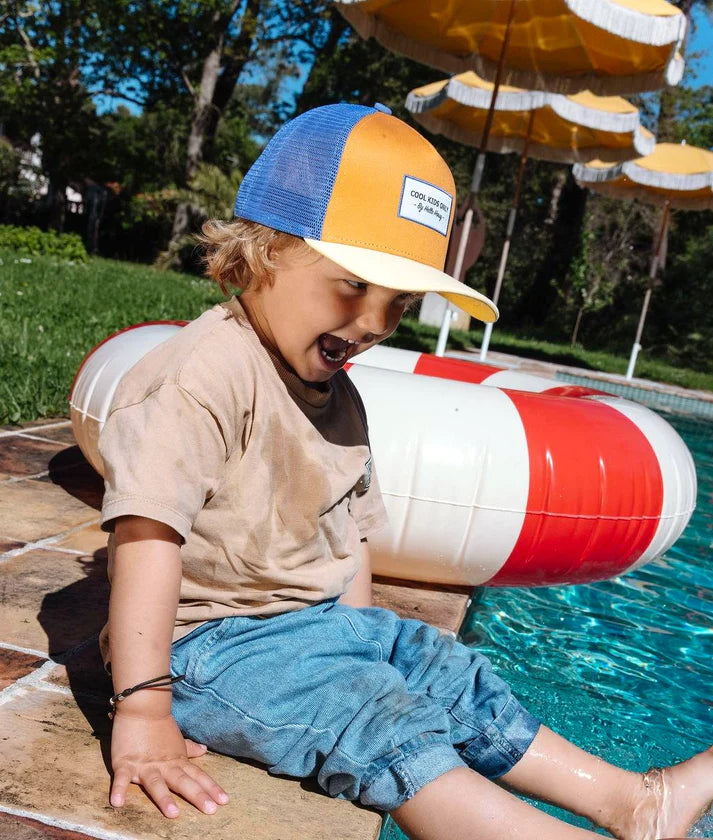 Hello Hossy Pet | Mini Canyon