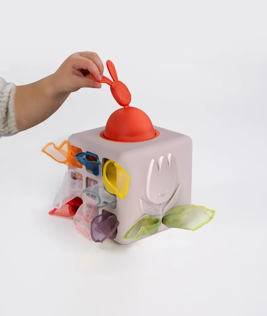 Taf Toys Pop-Up Tissue Box van niet toxische materialen, sensorisch speelgoed van De Gele Flamingo.