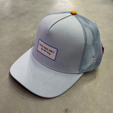 Hello Hossy Pet Adult Dad | Frozen