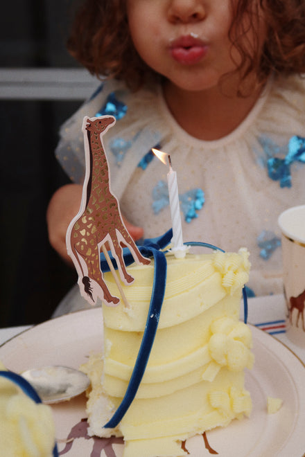 * Konges Sløjd Safari Kit Fsc | Safari