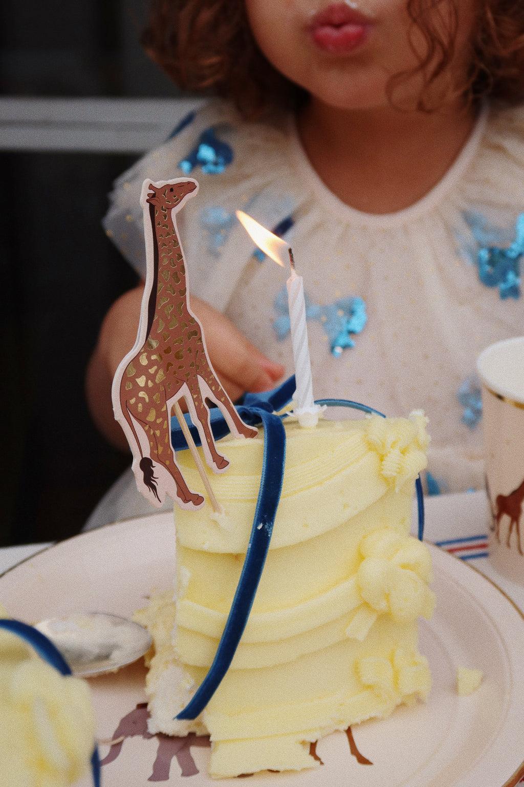 * Konges Sløjd Safari Kit Fsc | Safari