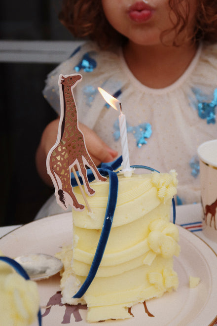 * Konges Sløjd Safari Kit Fsc | Safari