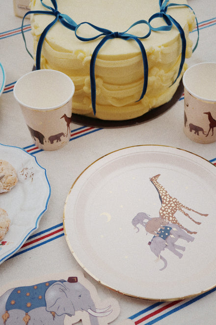 * Konges Sløjd Safari Kit Fsc | Safari