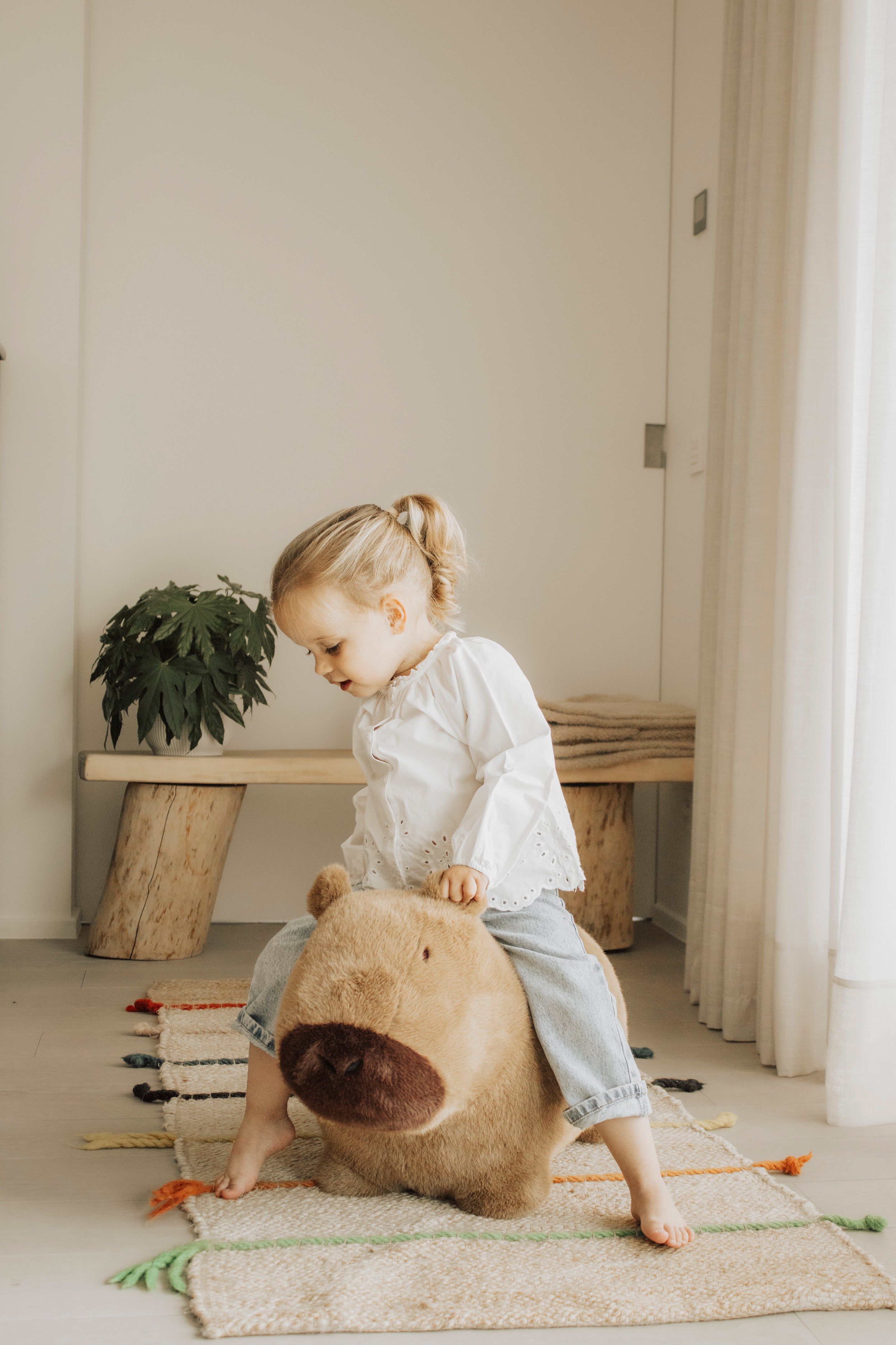 Wild & Soft Bouncy | Capybara