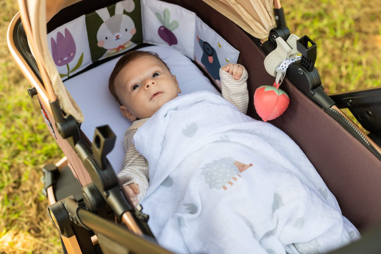 Taf Toys Speelmat Outdoors Kit 0M+ | Newborn