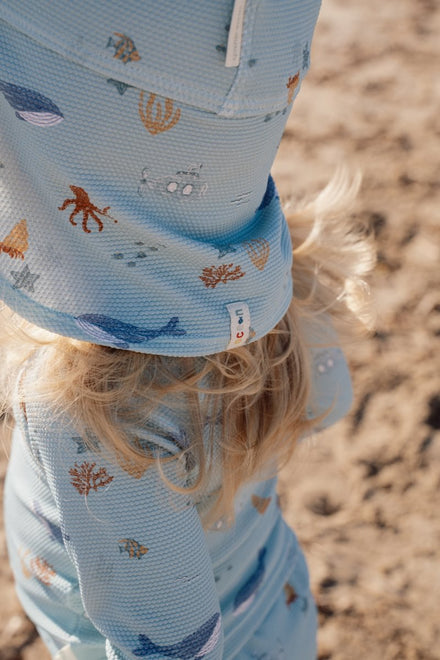Little Dutch Zwempet | Ocean Friends