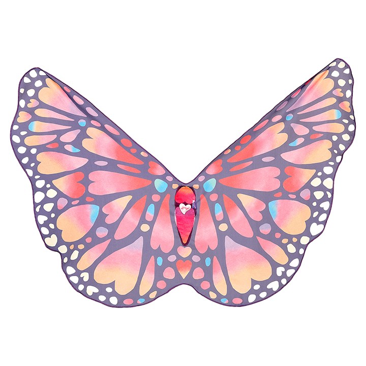 Souza Papillon Vleugels