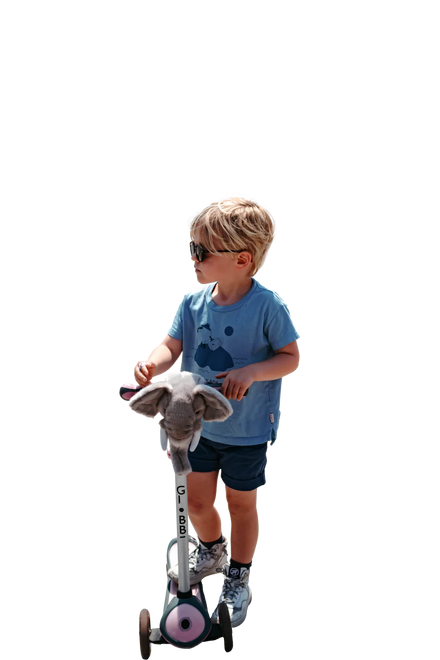 Wild & Soft Scooter Hoofd | Olifant