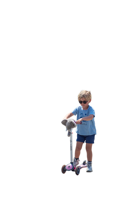 Wild & Soft Scooter Hoofd | Olifant