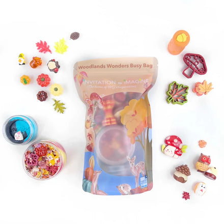 Invitation to Imagine Busy Bag | Woodlands Wonders