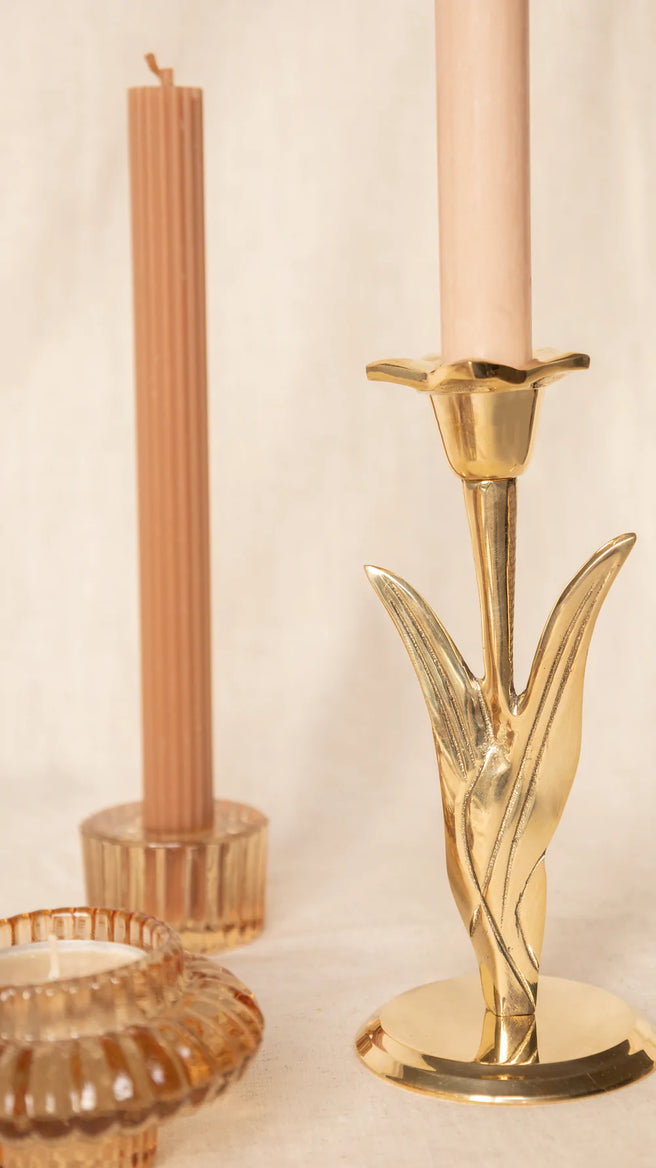 *  À la Collection Kandelaar | Narcissus