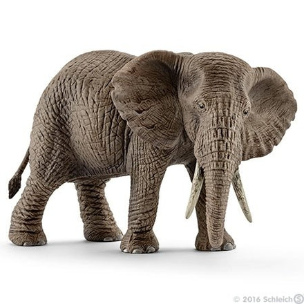 Schleich Diertje | Afrikaanse Olifant Vrouwtje