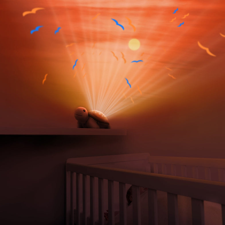 Zazu Sunset Projector Met Rustgevende Melodieën | Tim de Schildpad