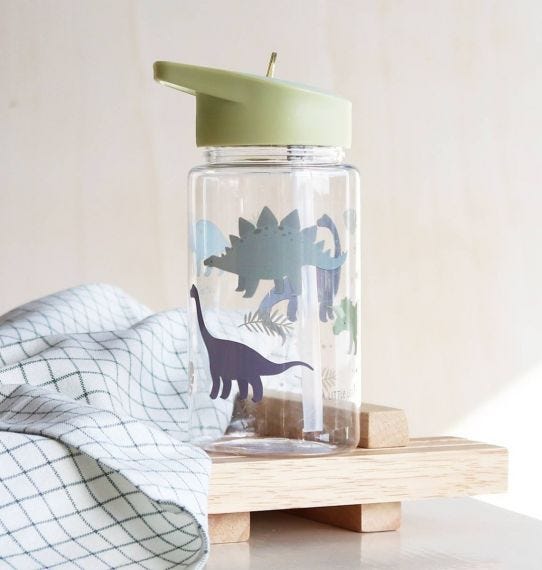 A Little Lovely Company drinkfles | Dinosaurussen
